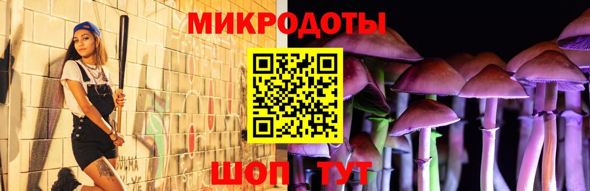 Псилоцибиновые грибы GOLDEN TEACHER  где купить   Дербент  Вход с VPN 